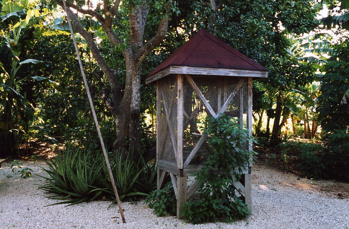 Grand Cayman 24.jpg