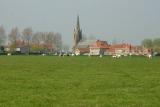 Flanders countryside