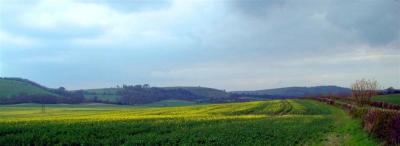 April 04 looking towards the downs and beacon hill