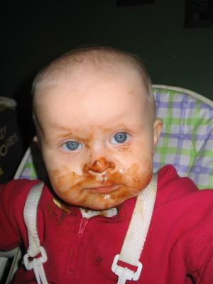 Just one little chocolate biscuit