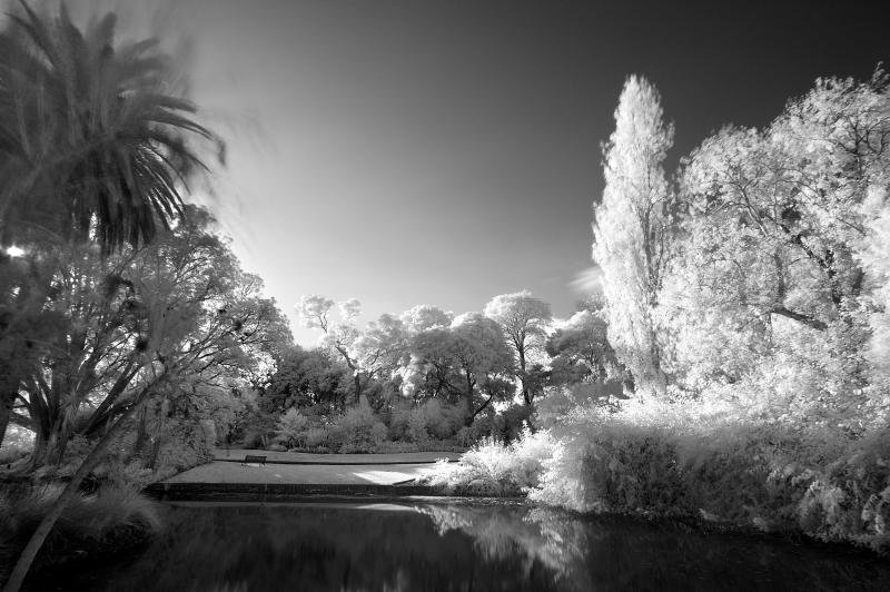 DSC_3373.jpg
