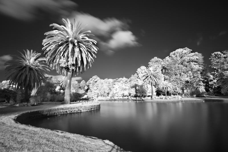 DSC_3418.jpg