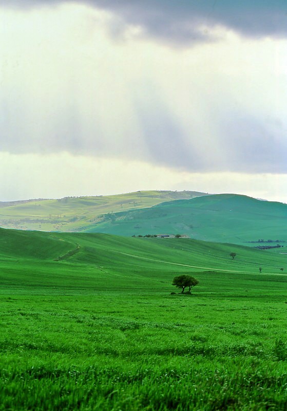 Spring in Genzano #4