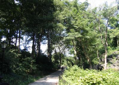 p4.jpg