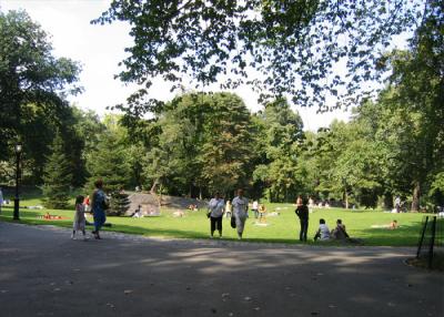 p5.jpg