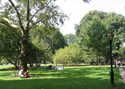 p35.jpg