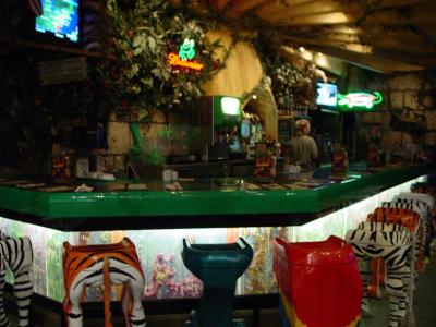 Rainforest Cafe Bar