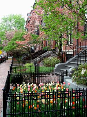 Spring in Beacon Hill