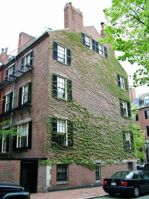 Ivy-covered building Beacon Hill
