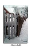 A City Snow Fence