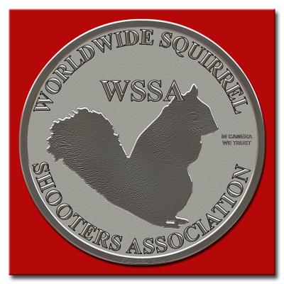 WSSA Coin 800.jpg