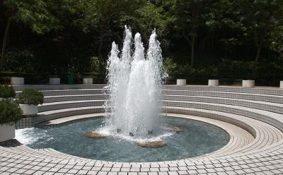 DSC_2914.jpg
