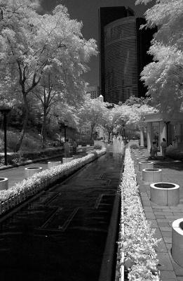 DSC_2925.jpg