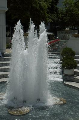 DSC_2912.jpg