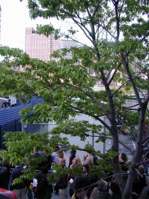 2004-05-08.149.jpg