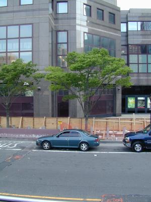 2004-05-08.158.jpg
