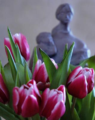 u44/donna_lear/medium/40294664.Tulipsandstatue.jpg