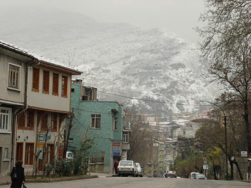 Bursa in snow