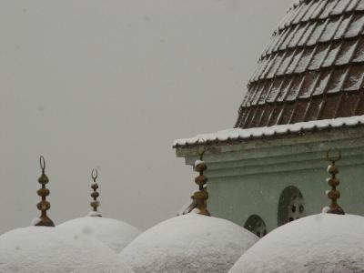 Bursa in snow