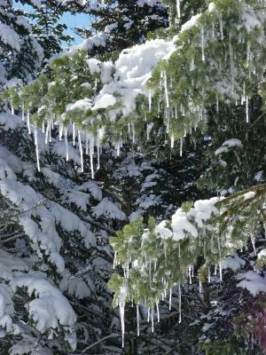 Bursa Uludag