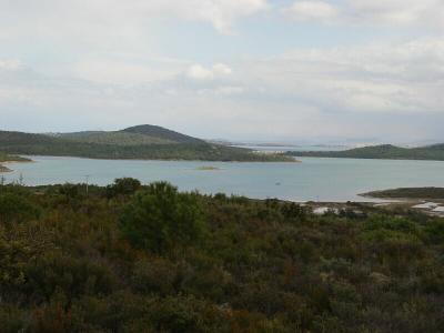 Ayvalik nature walk 2004 03 10 3