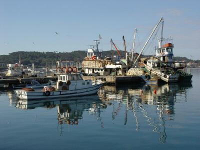 Ayvalik harbour 2004 03 11 1