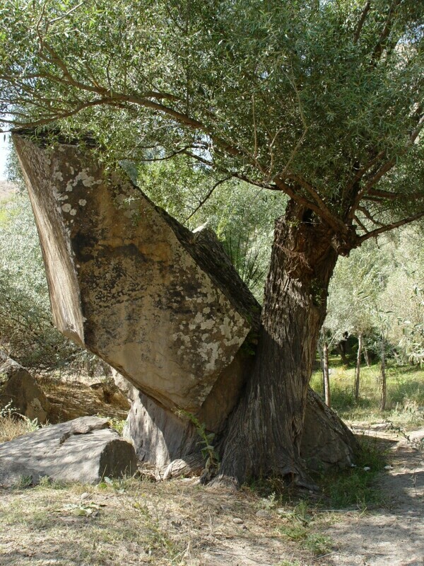 Ihlara 2003 9 28