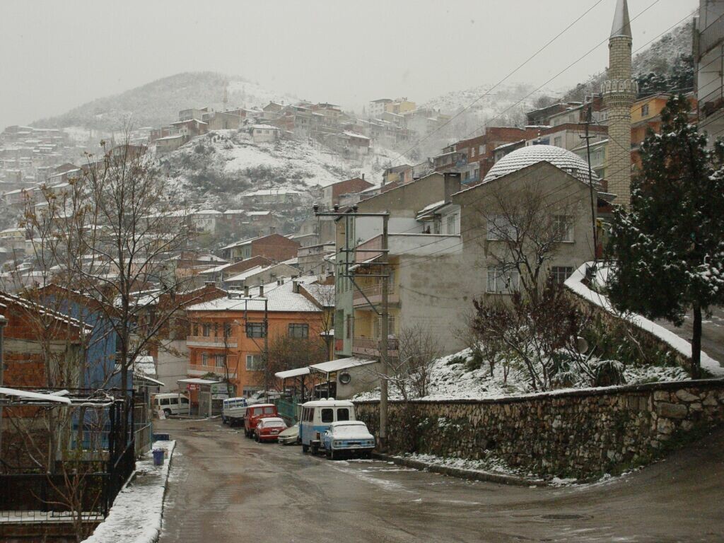 Bursa in snow