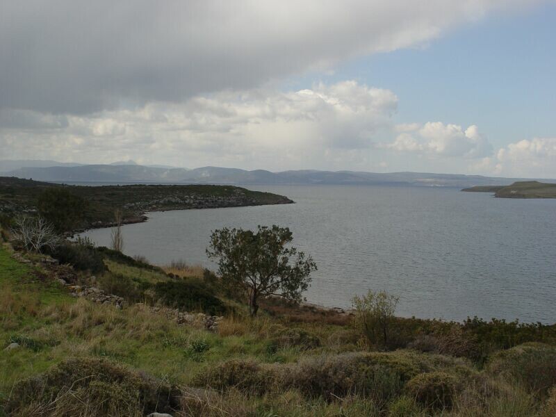 Ayvalik nature walk 2004 03 10 2