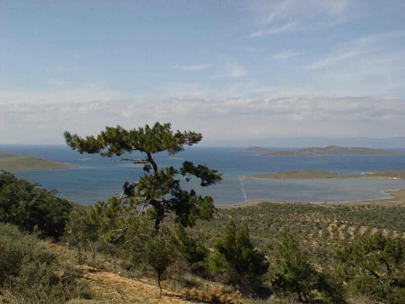 Ayvalik nature walk 2004 03 12 6