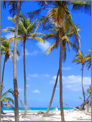 Bahama 53 pc.jpg