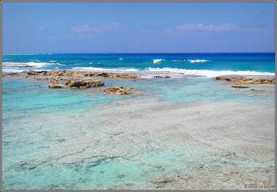 Bahama 50 pc.jpg