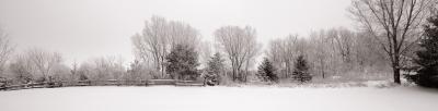 Morning Frost - Quadtone version of two image stitched panorama