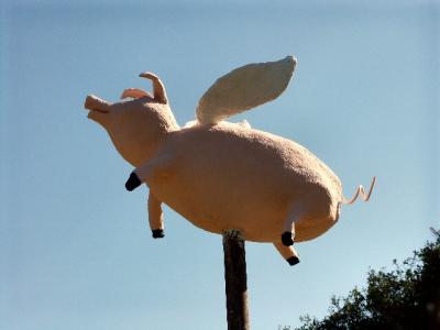 u44/dwinge/medium/28778966.whenpigsfly1.jpg