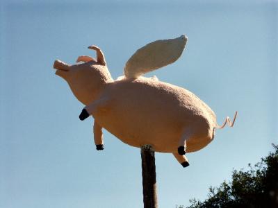 When Pigs Fly