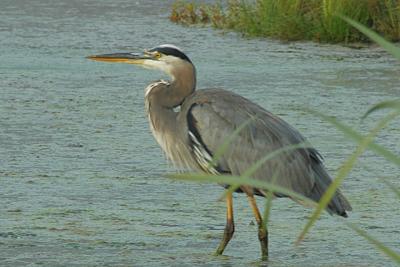 u44/ed_k/medium/34370650.28_DSC_8620.jpg