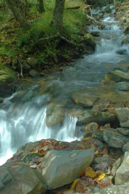 9/29/04 - Upstream, Dark Hollow Falls