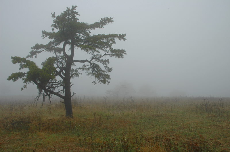 9/29/04 - Big Meadows