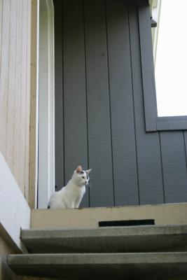 I'm waiting for my friend.