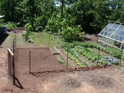 May 1st - Everything is growing so well, even the garden area grew.  The new extension and gate are on the left.