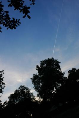 DSC_0194_Crop.jpg