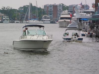 Typical Traffic at city dock