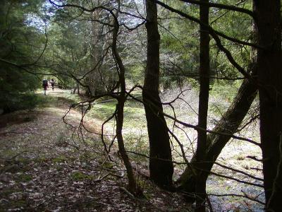 P4240071.JPG