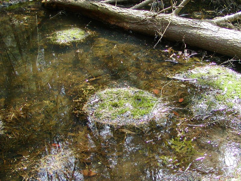 P4240079.JPG