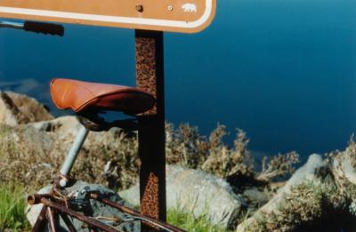 bear on sign, marina, morro bay 2004