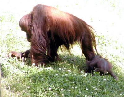 baby2.jpg