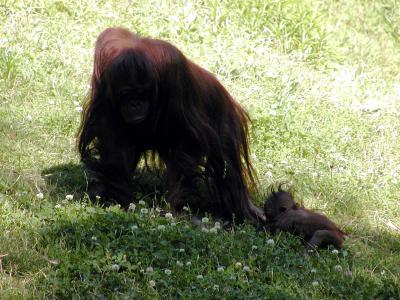 baby3.jpg