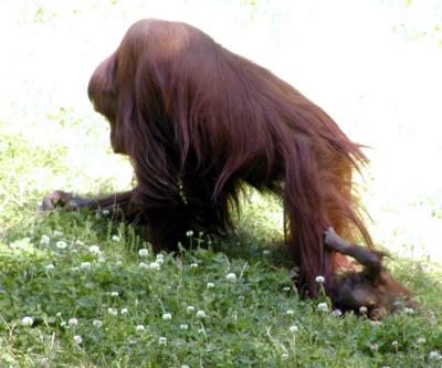 Mom! Wait up!