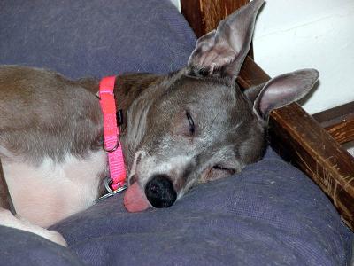 sleeping tongue.jpg
