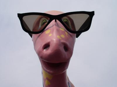 u44/fletchaka/medium/33748234.Dino.jpg